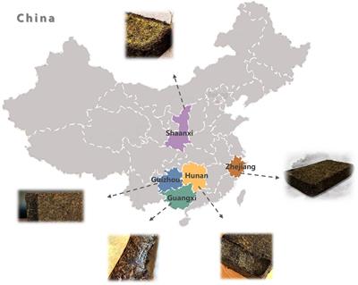 Comparison of the Fungal Community, Chemical Composition, Antioxidant Activity, and Taste Characteristics of Fu Brick Tea in Different Regions of China